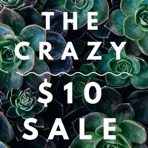 The Soulquarius Crazy $10 sale!